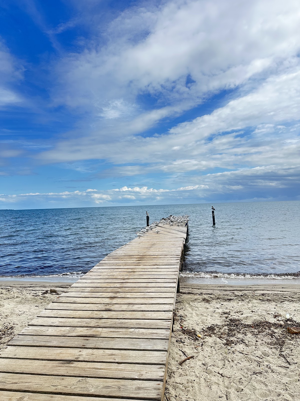 Hopkins Beach gallery 6
