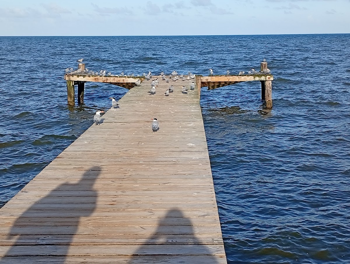 Hopkins Beach gallery 9