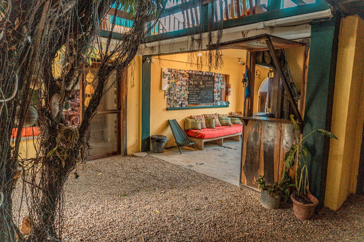 Bella's Backpackers Hostel gallery 1
