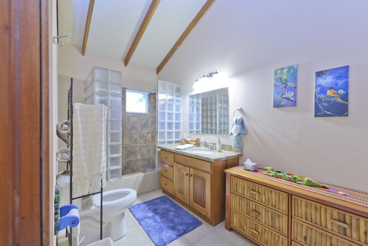 Belizean Bliss Villa gallery 6