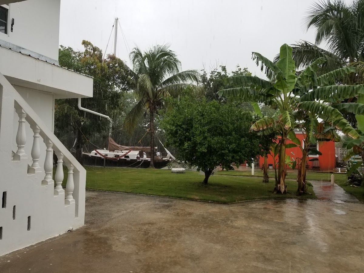 Bamboleo Inn Guest House gallery 6