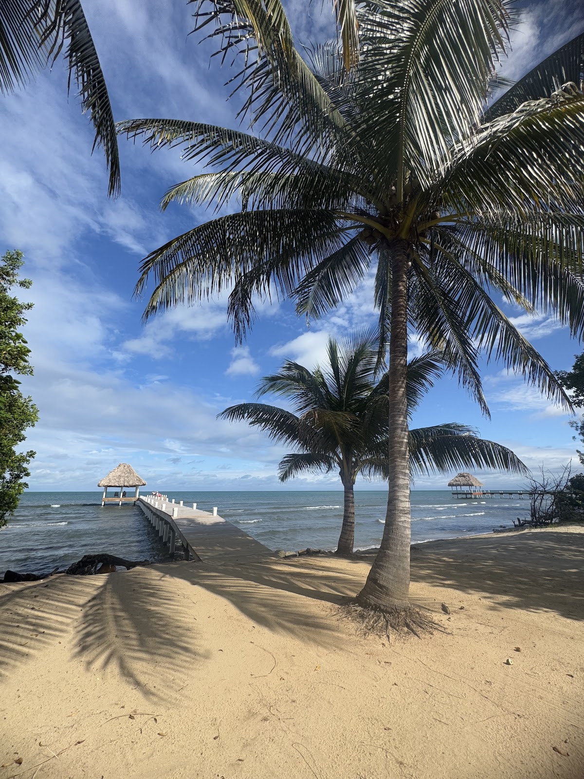 The Reef Beach House gallery 5