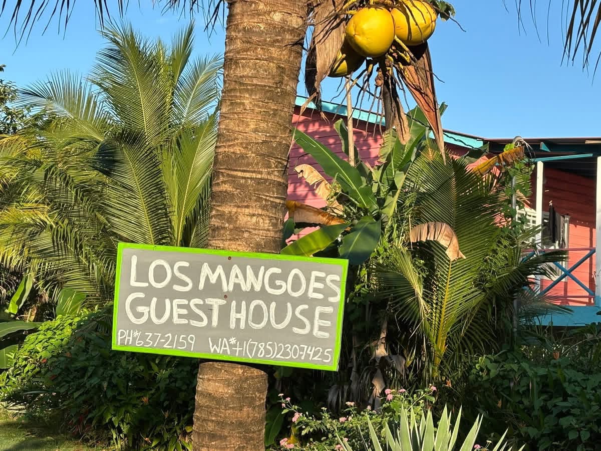 Los Mangoes gallery 2
