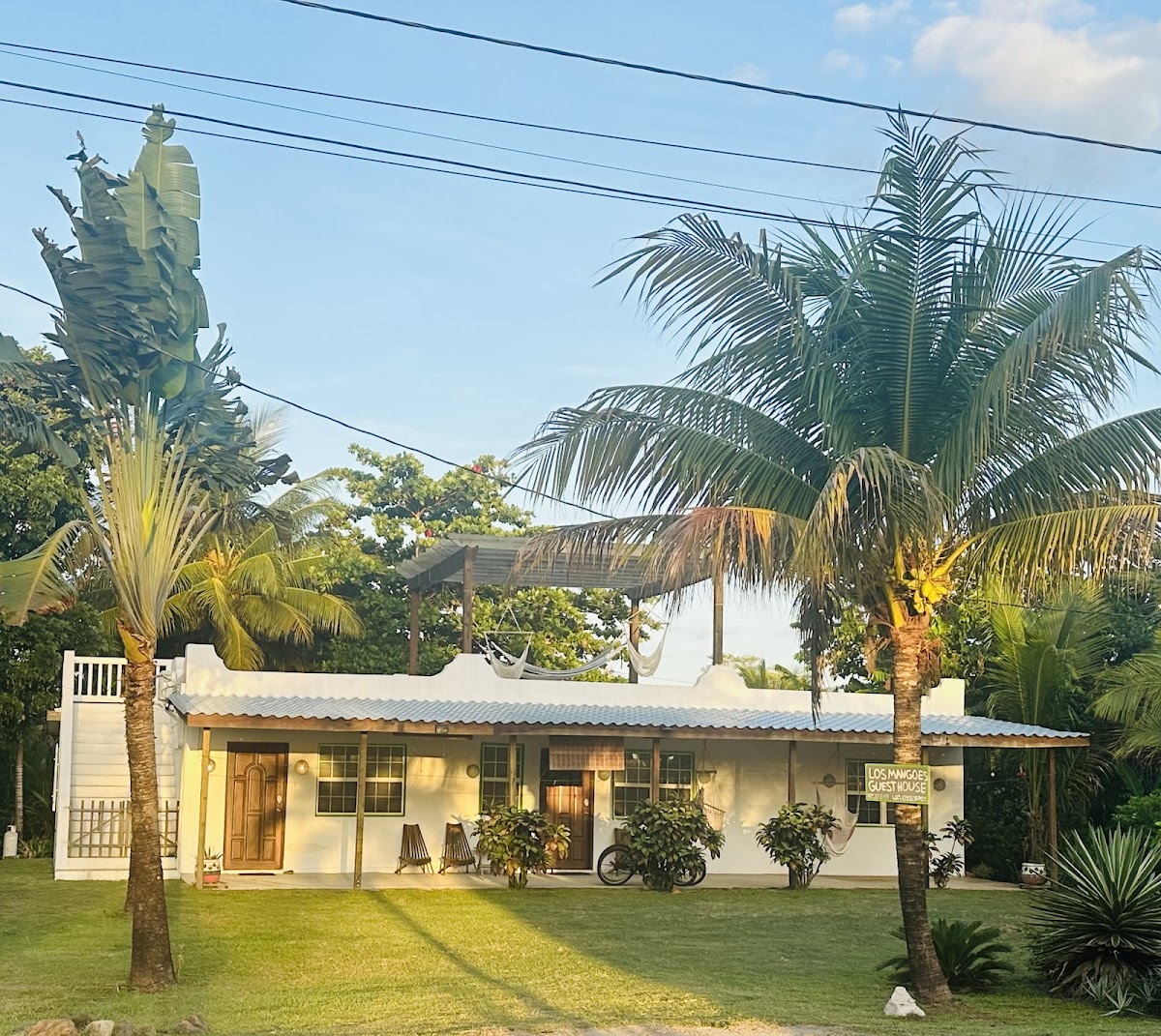 Los Mangoes gallery 4