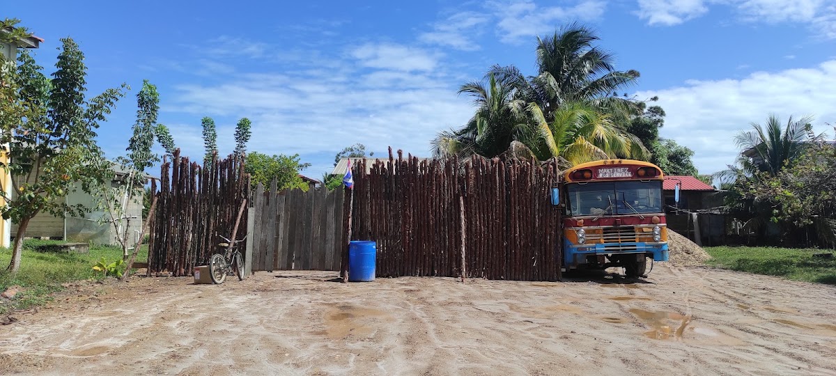 Jungle Bus Hostel gallery 5