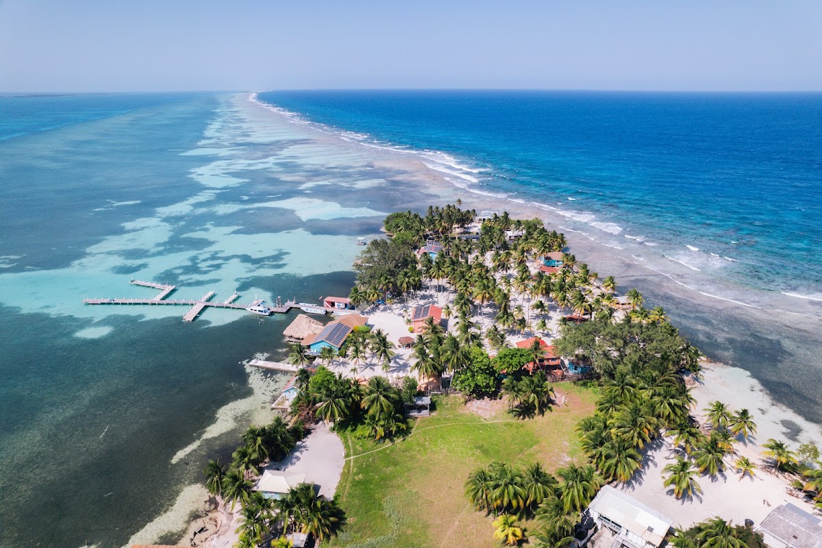 Blue Marlin Beach Resort cover