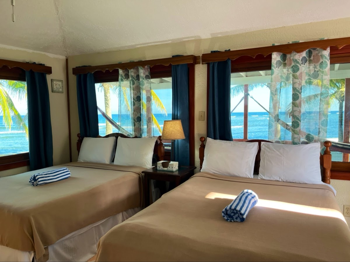 Blue Marlin Beach Resort gallery 5