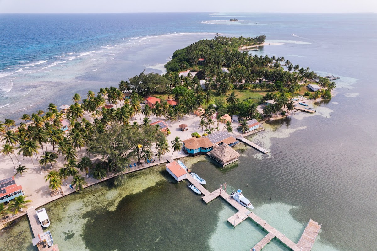 Blue Marlin Beach Resort gallery 6