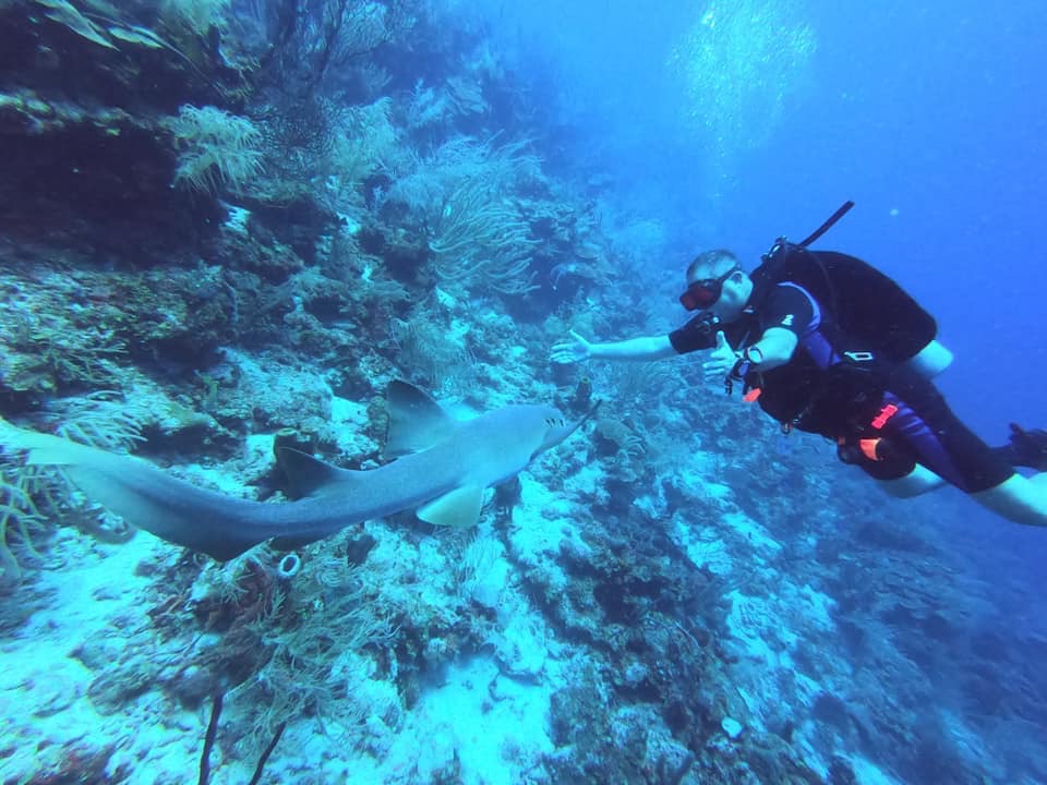 Blue Marlin Beach Resort gallery 7