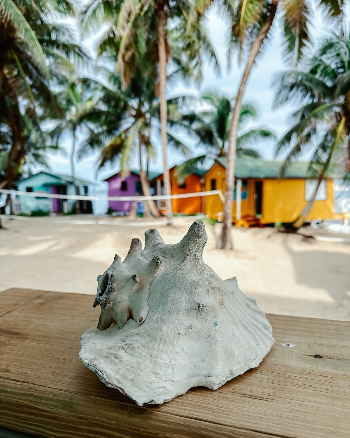 Tobacco Caye Paradise gallery 9