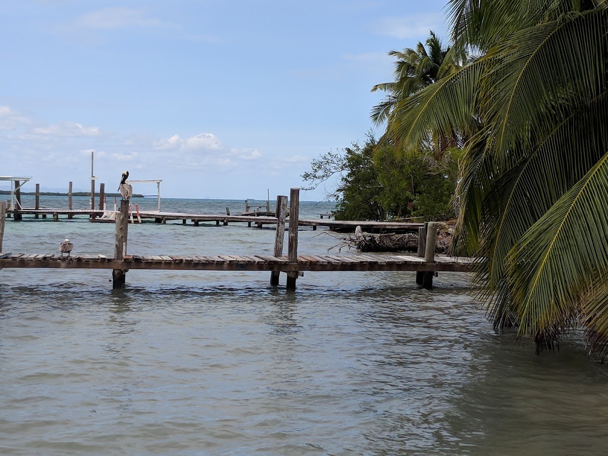 Pelican Beach Resort - South Water Caye gallery 6