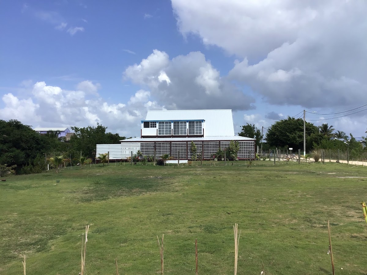 The BNB on Triggerfish gallery 6