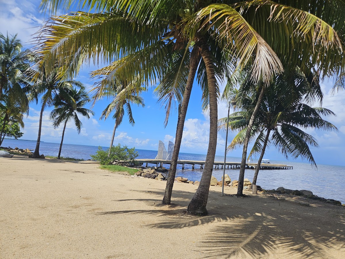 Pelican Beach Restaurant gallery 3