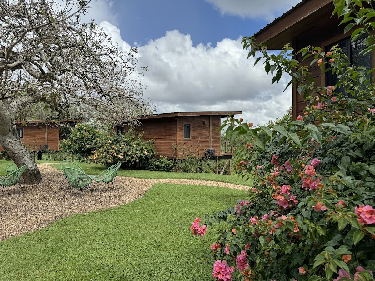 Yuma's RiverFront Lodge gallery 6