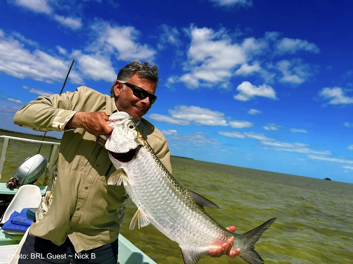 Belize River Lodge gallery 3