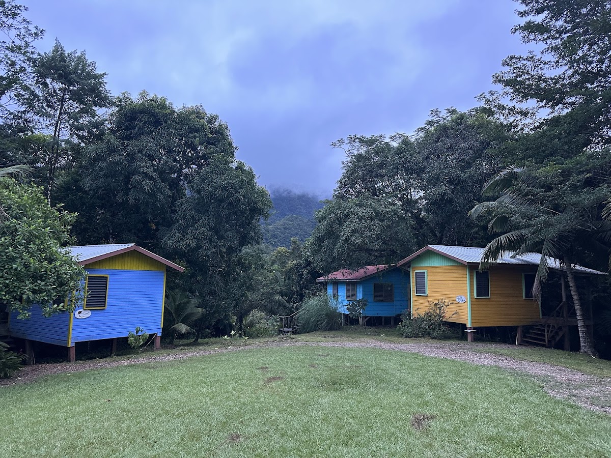 TREES hosting and Research Center Lodge gallery 2