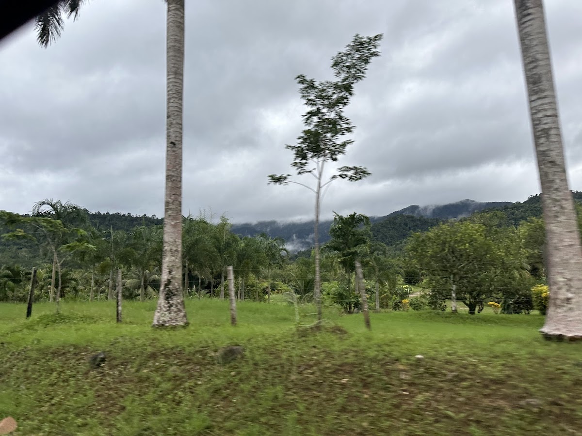 TREES hosting and Research Center Lodge gallery 7