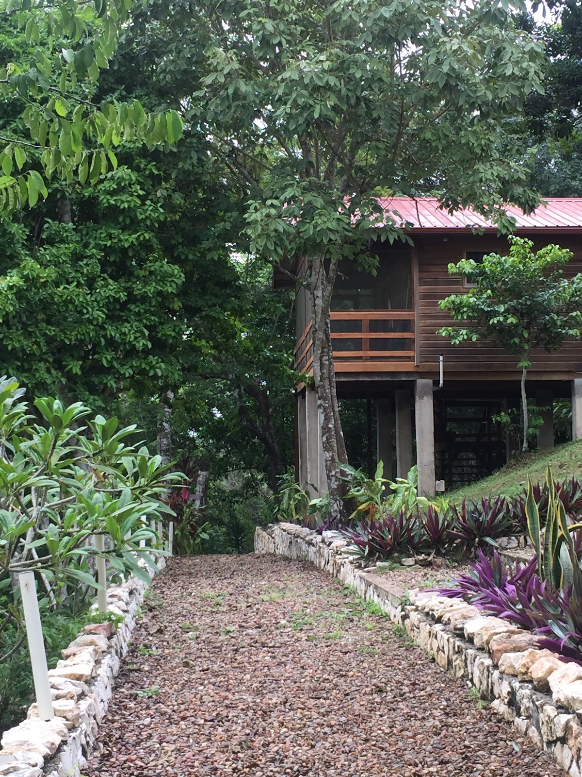 Santa Cruz Cabins gallery 4