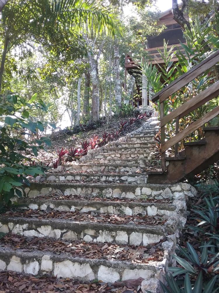 Santa Cruz Cabins gallery 9