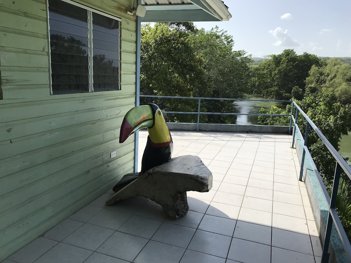 River Bend Lodge Cayo gallery 8