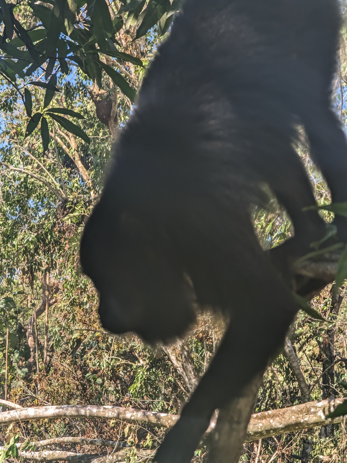 Belize Ecolution Adventures gallery 6