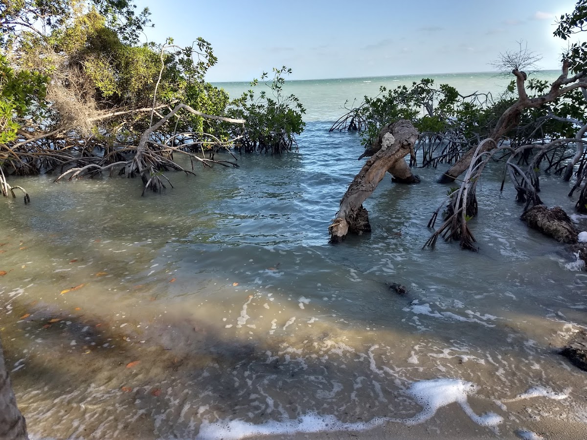 Serenity Sands Bed & Breakfast gallery 7