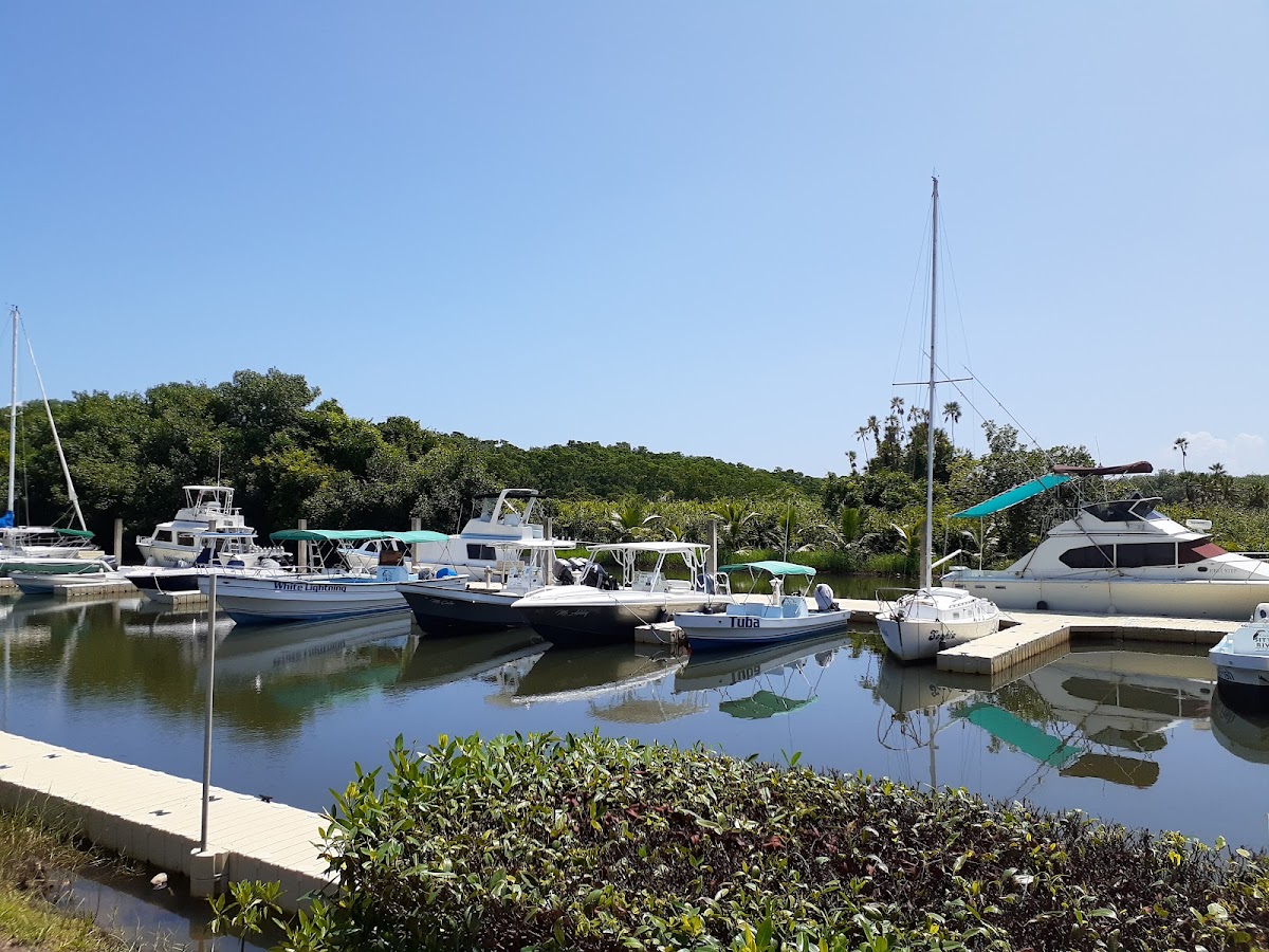 Sittee River Marina gallery 5