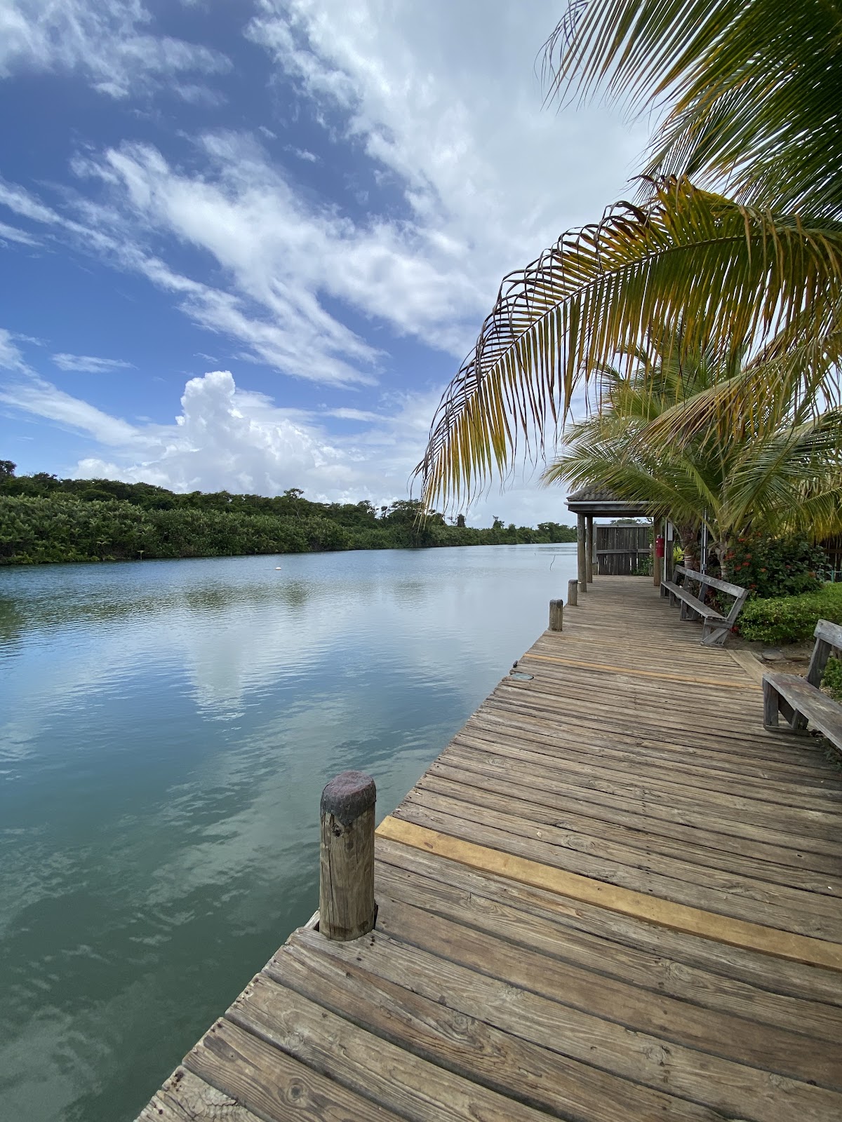 Sittee River Marina gallery 7