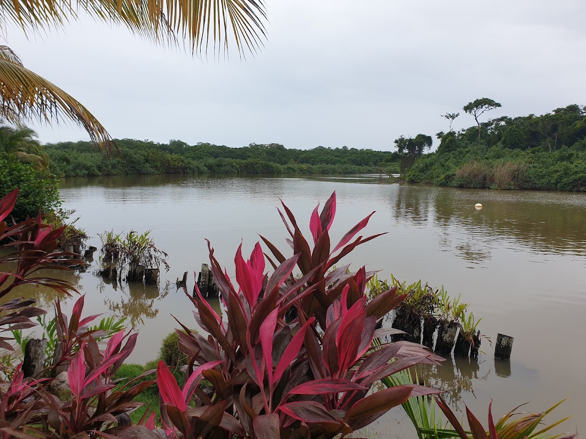 Sittee River Marina gallery 10