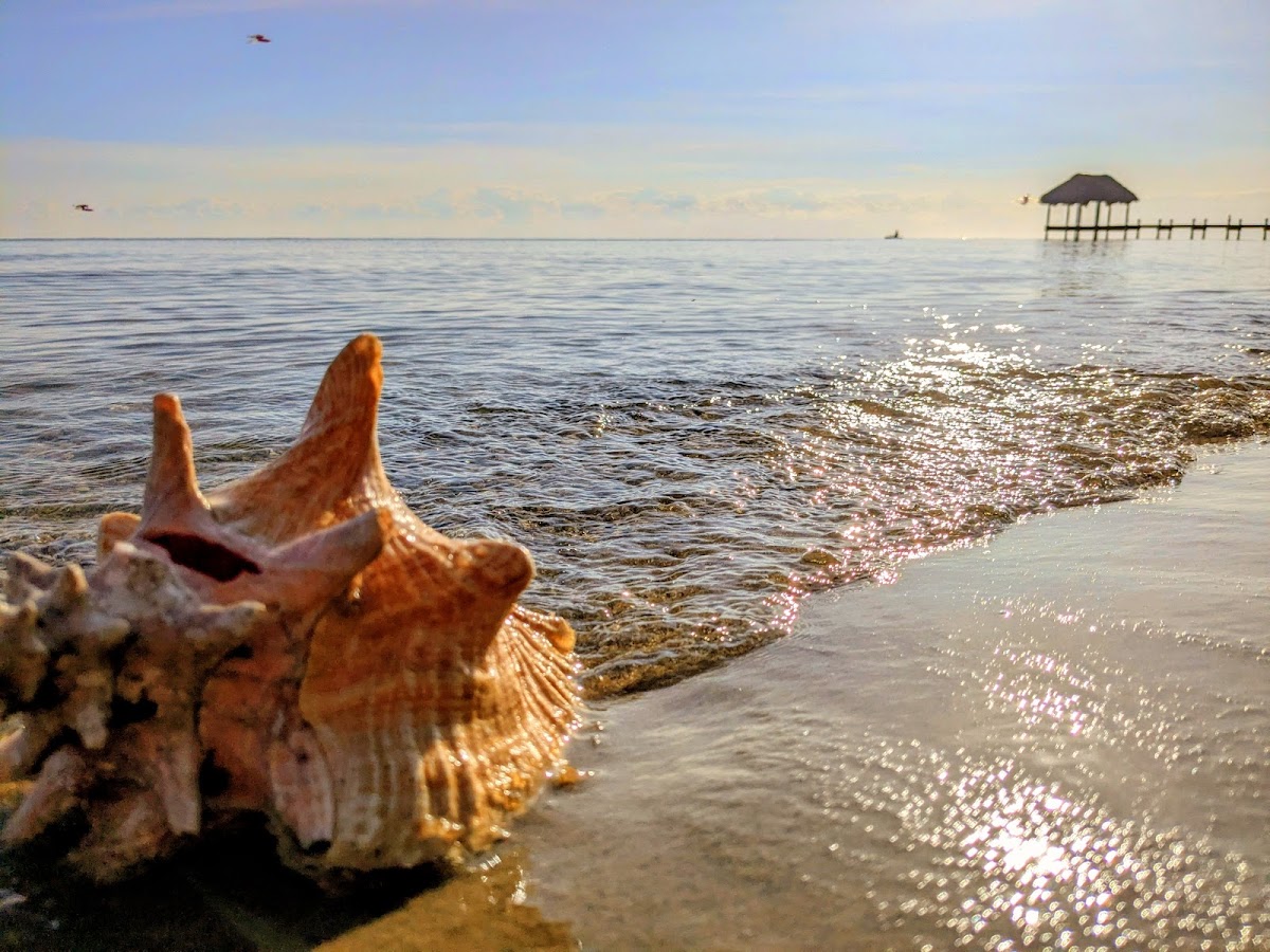 Hopkins Beach Retreat gallery 9