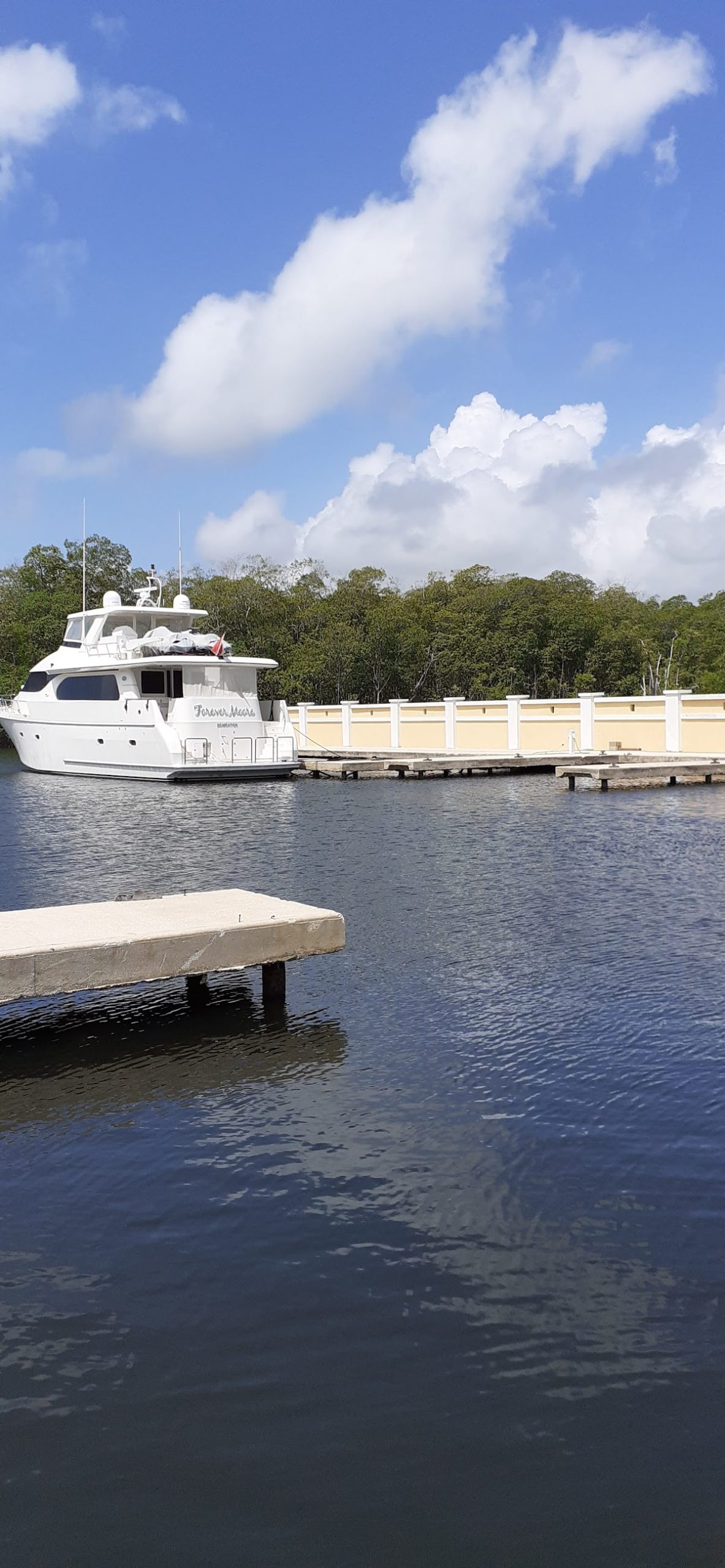 Mangrove Resort and Marina gallery 2