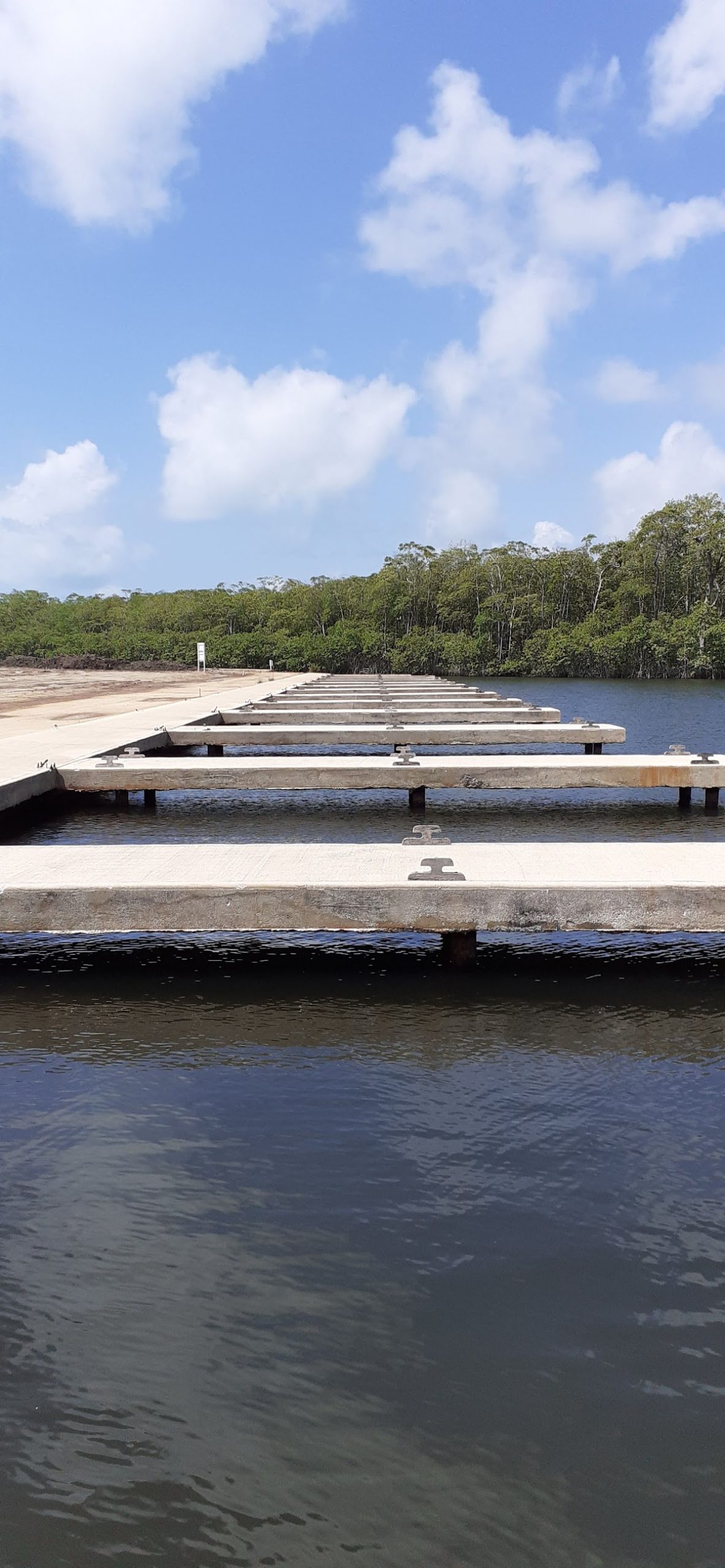 Mangrove Resort and Marina gallery 3