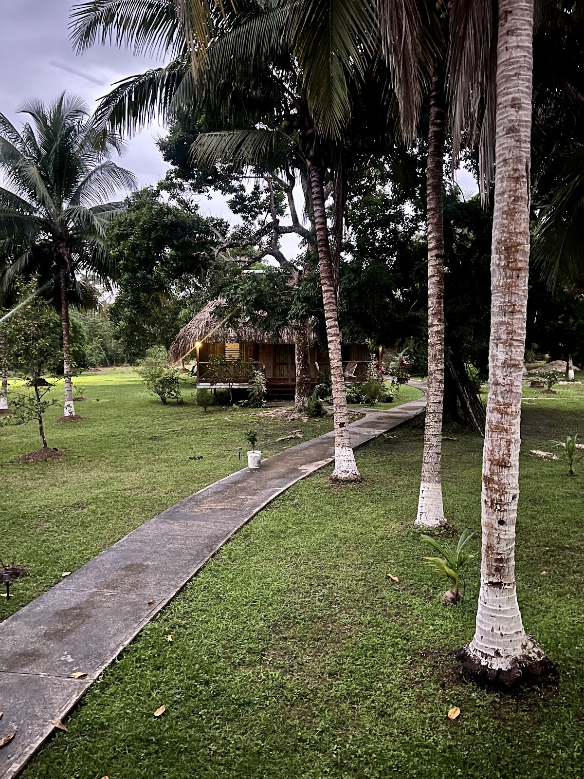 The Nature Resort gallery 4