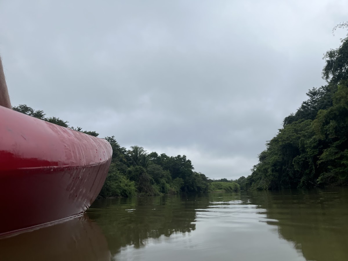 The Nature Resort gallery 7