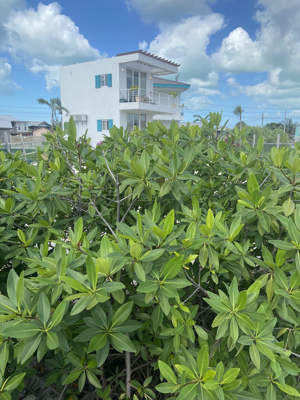 Casitas by the River gallery 10