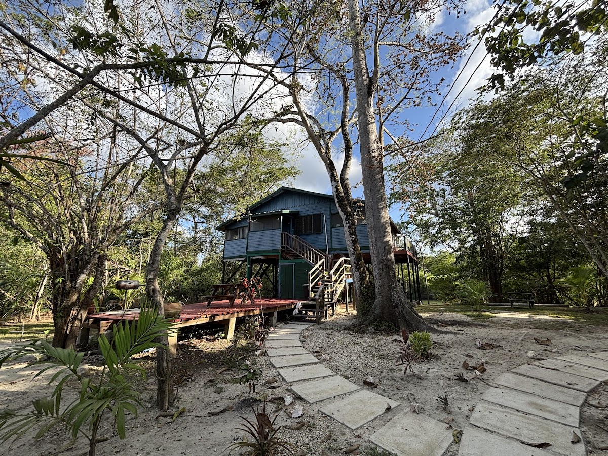 Howler Jungle House and Cabanas gallery 6