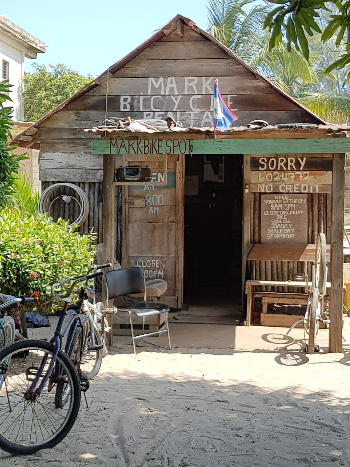 Mark's Bicycle Rental gallery 2