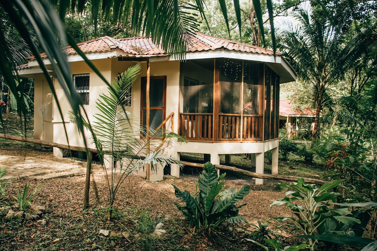 The Cabins at Monkey Fall cover