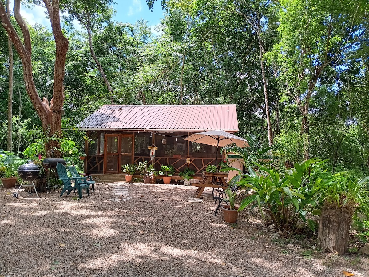The Cabins at Monkey Fall gallery 4