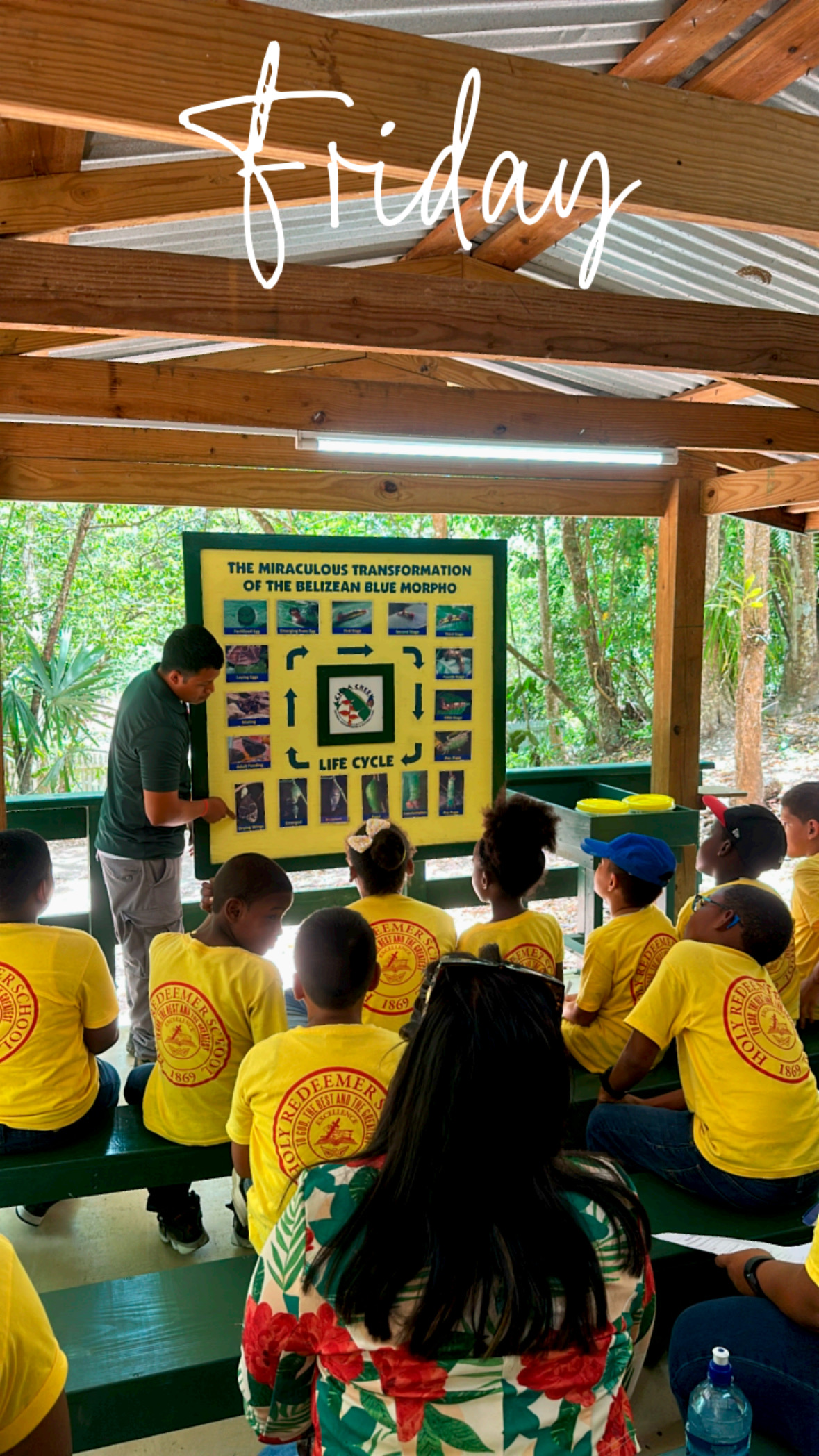 Belize Rainforest Retreat at Chaa Creek gallery 5