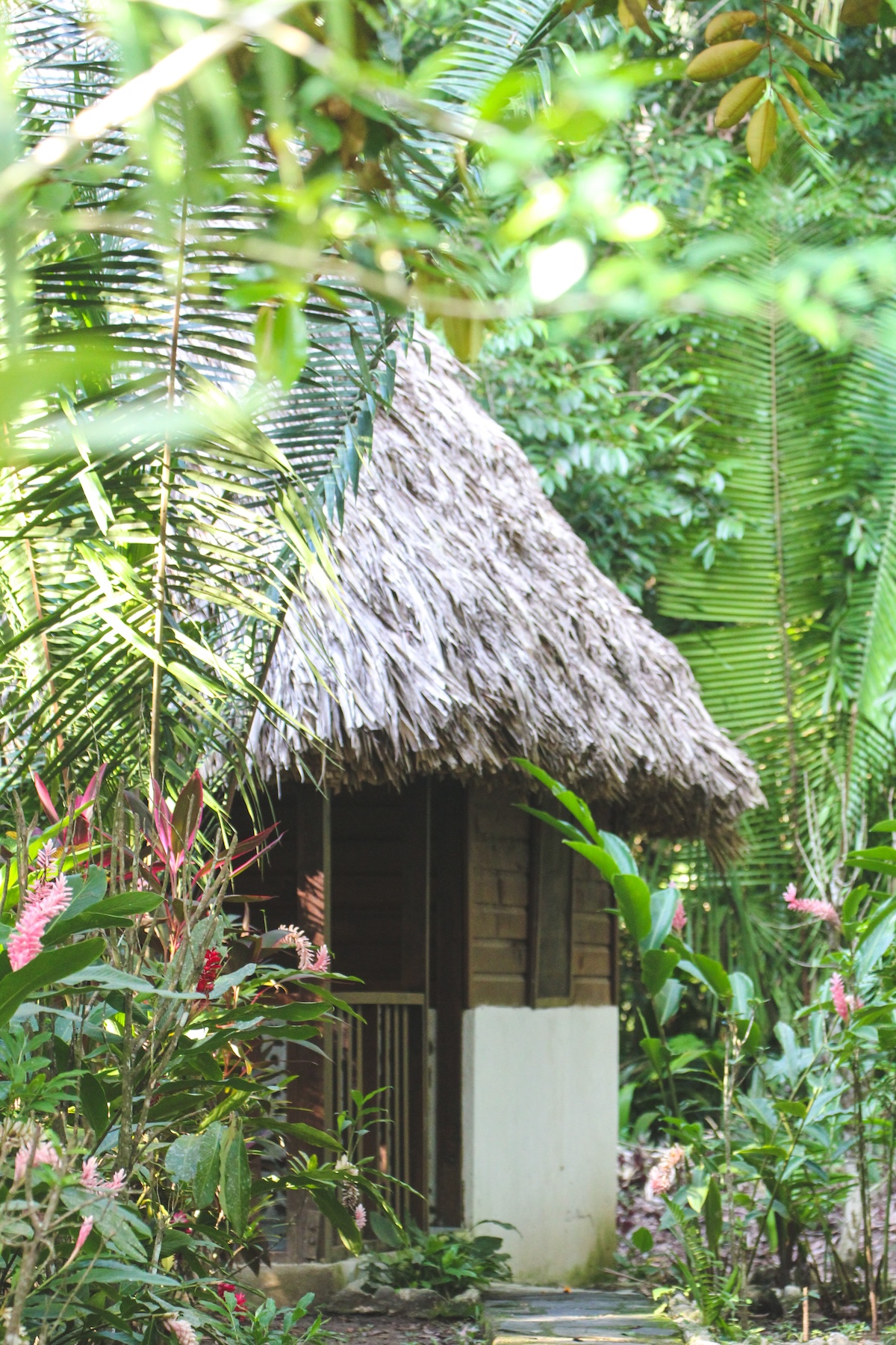 Cohune Palms River Cabanas gallery 4