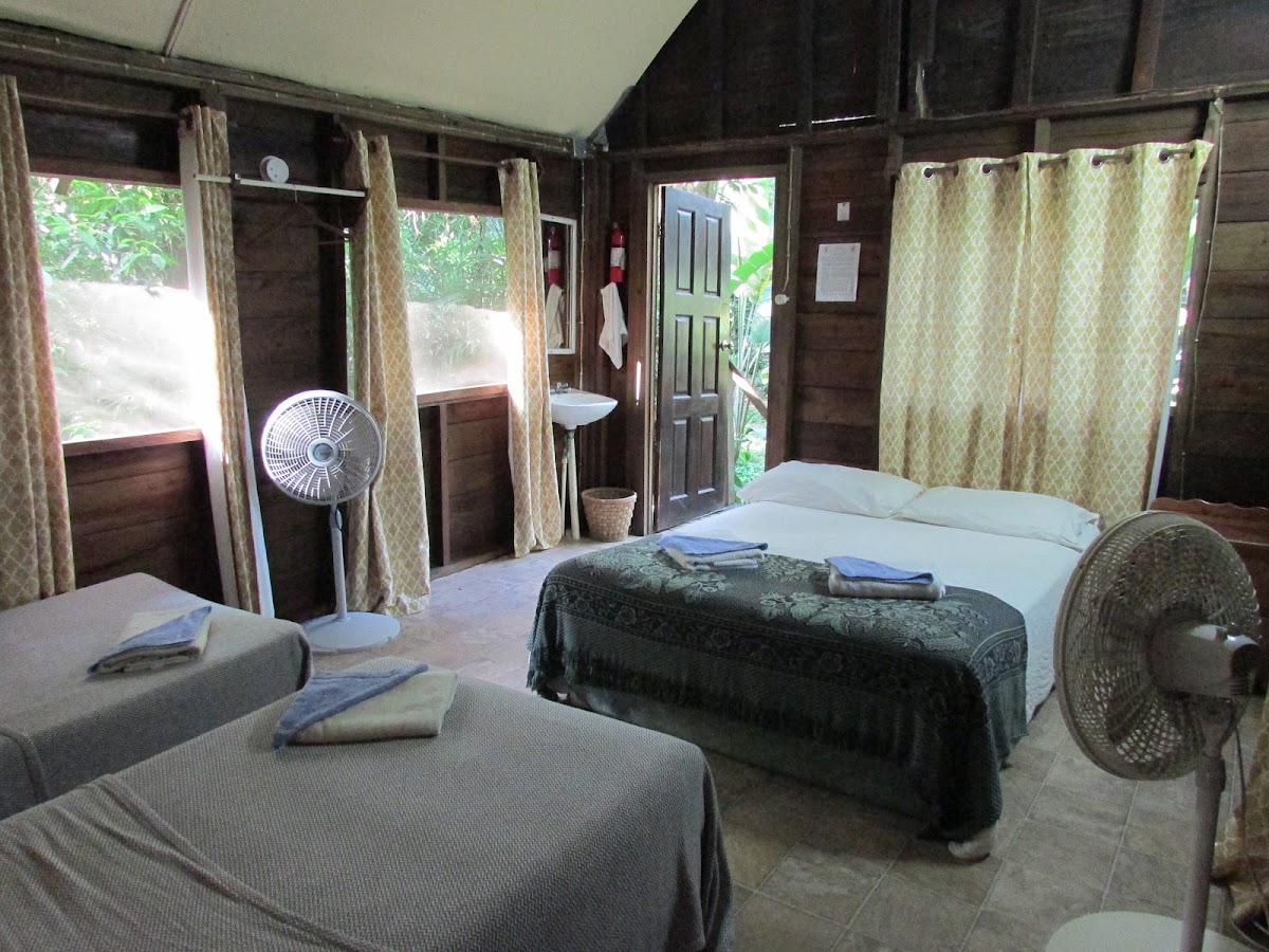 Parrot Nest Lodge gallery 2