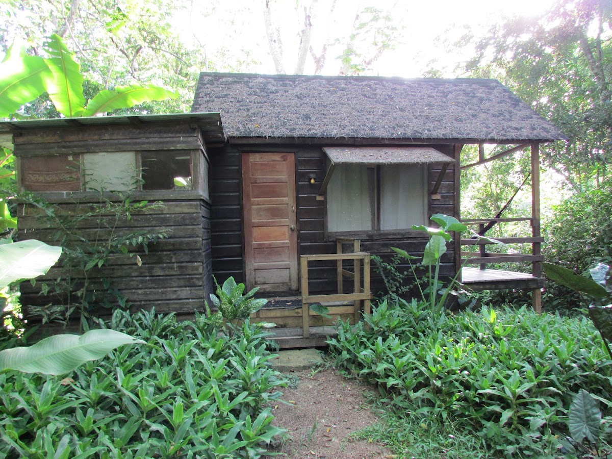 Parrot Nest Lodge gallery 3