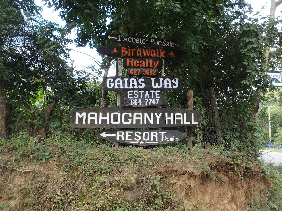 Parrot Nest Lodge gallery 6