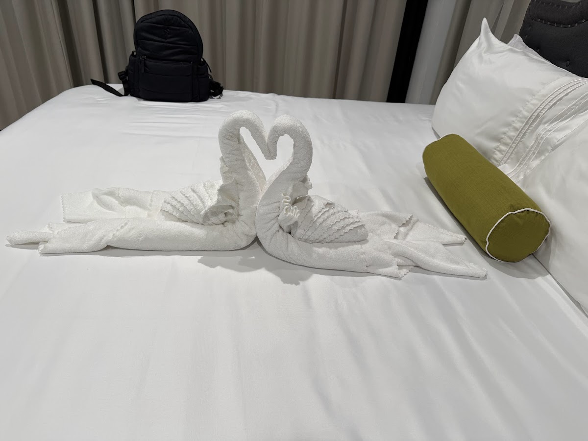 The Alexandria Marquis Hotel gallery 2