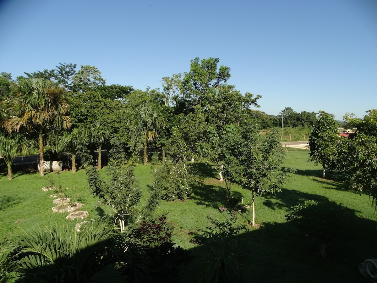 River Park Inn gallery 5