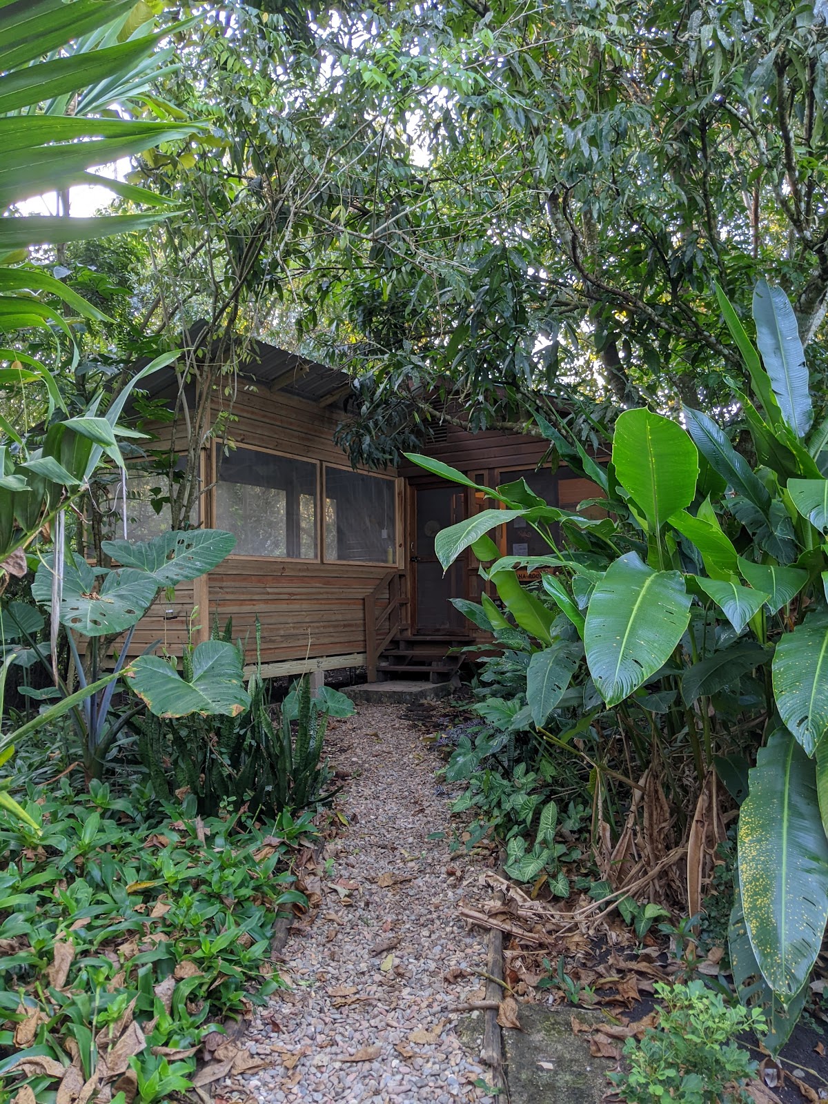 Iguana Roost gallery 4