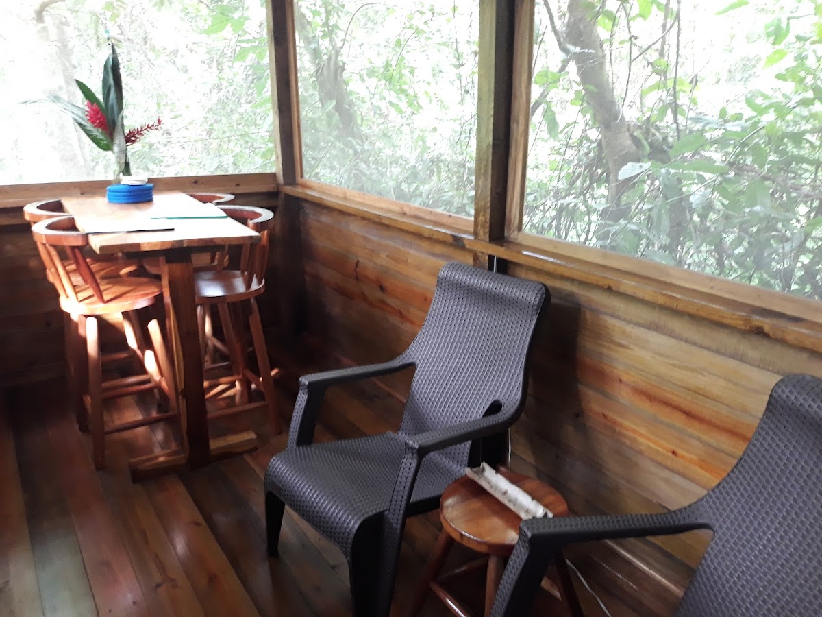 Iguana Roost gallery 6