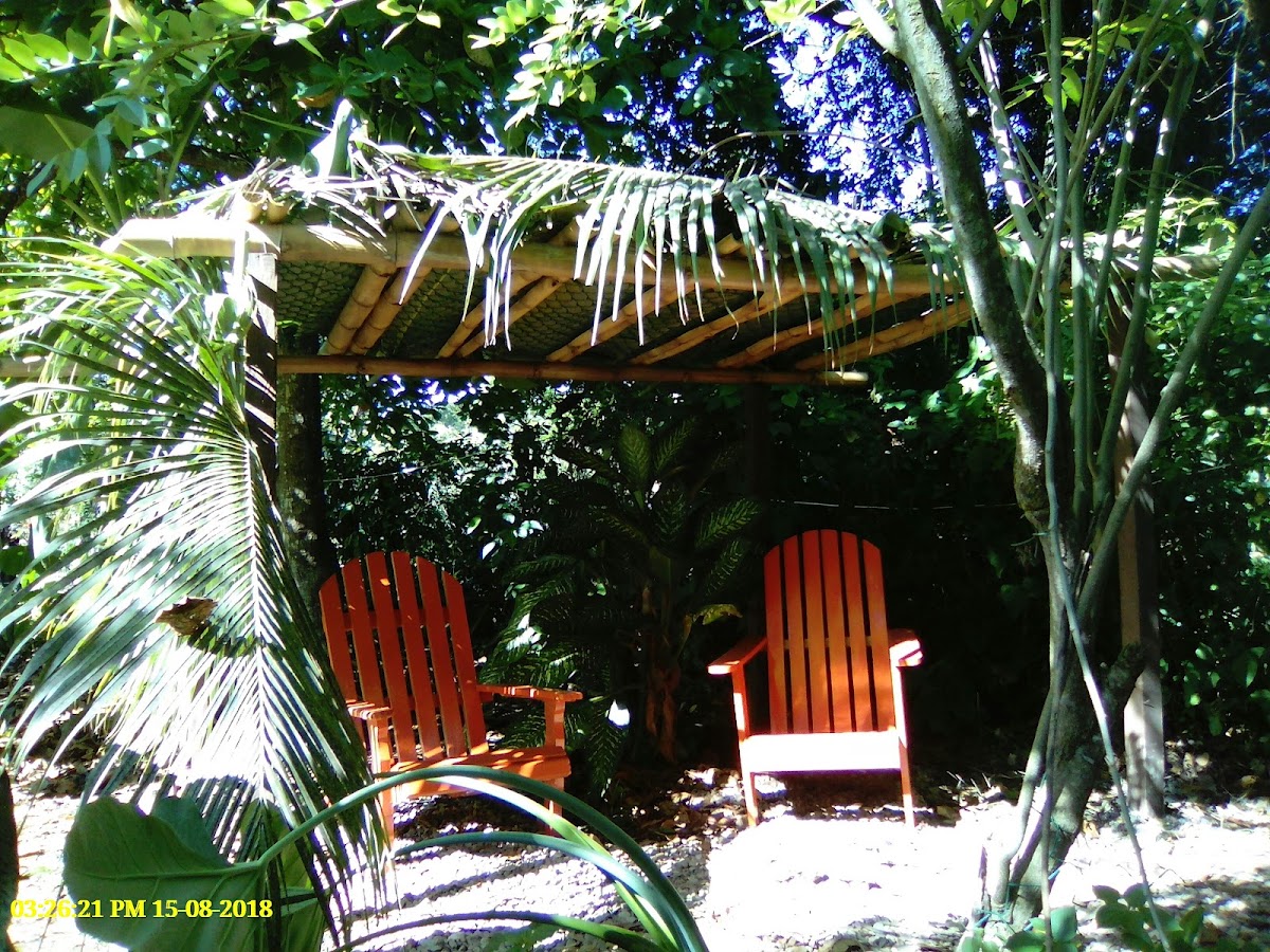 Iguana Roost gallery 8
