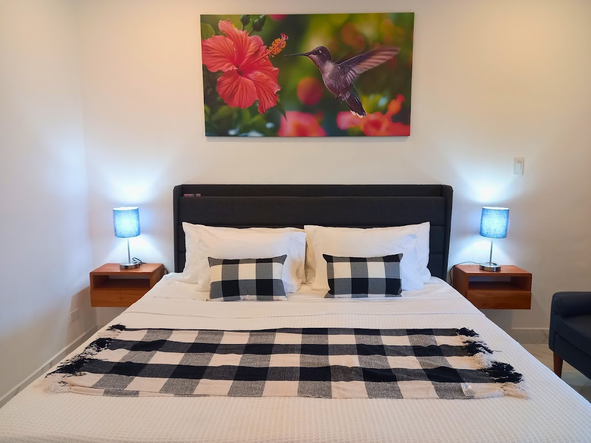 Javiellie Luxury Villa gallery 2